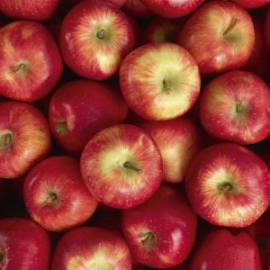 Æbler